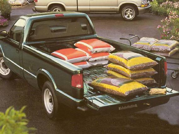 CHEVROLET S-10 PICKUP 1999 1GCCS19X4X8169592 image